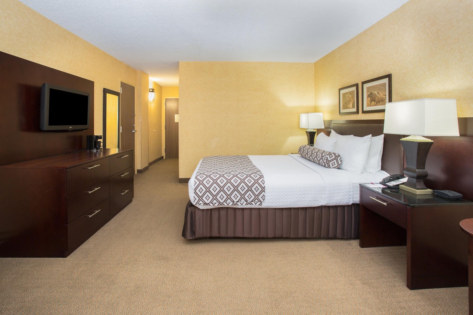 Hotel Crowne Plaza International Airport, An Ihg Denver