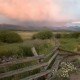 Summer fence after rain storm