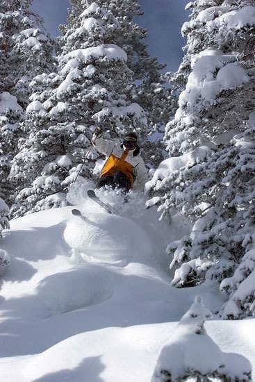 Skiing powder